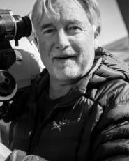 Stephen F. Windon