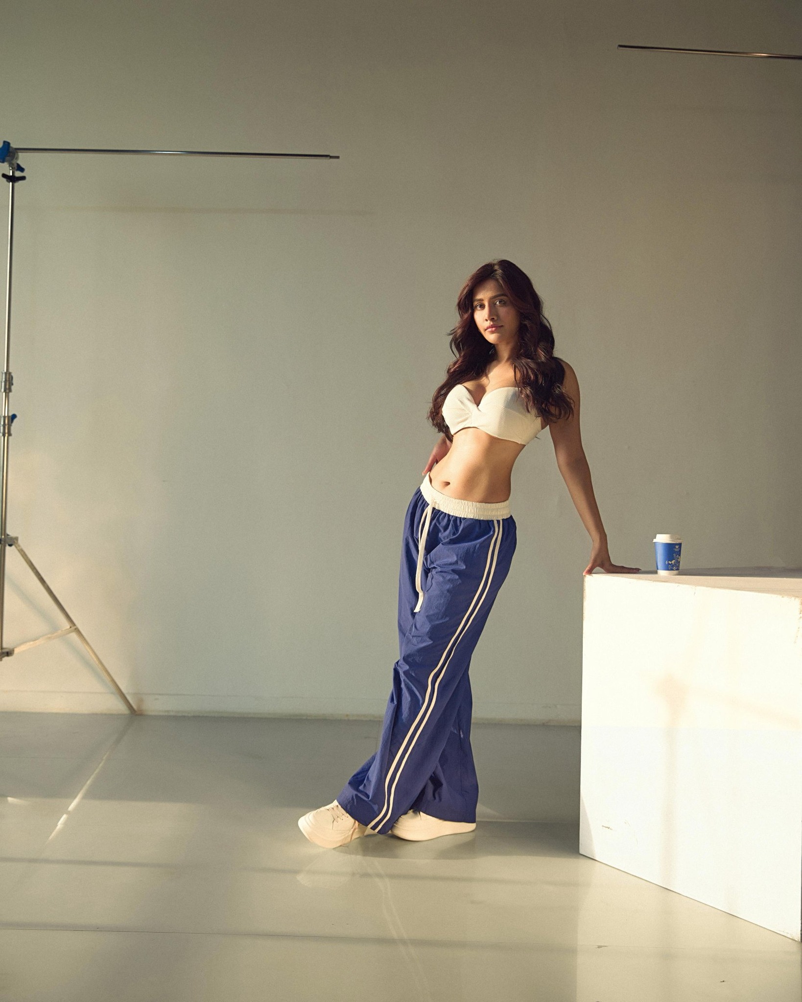 Nabha Natesh