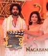 Nagabandham photo