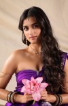 Bhagyashri Borse photo