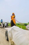 Vaishnavi Krishna photo