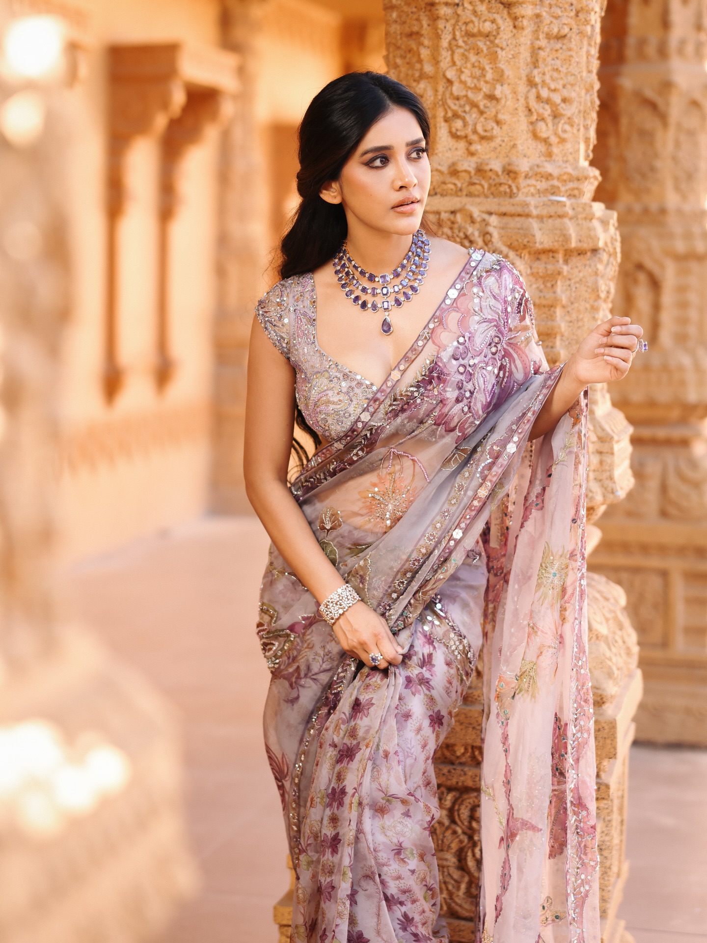 Nabha Natesh